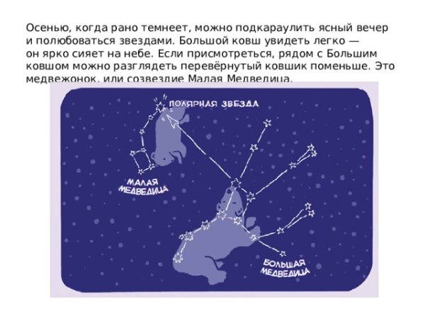 Звезды созвездий большой и малой медведицы