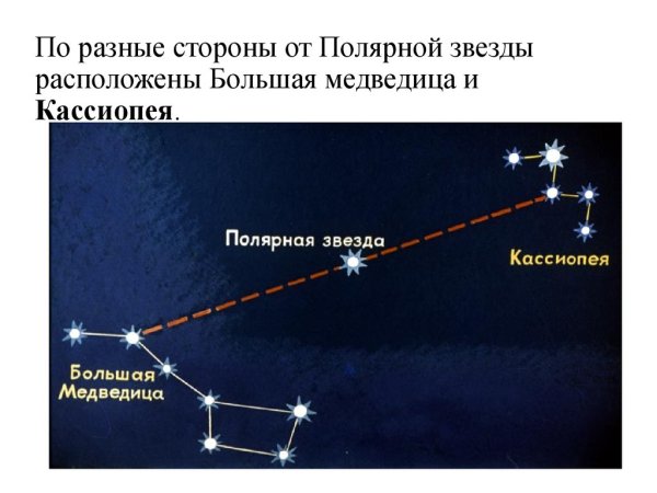 Полярная звезда Альфа малой медведицы