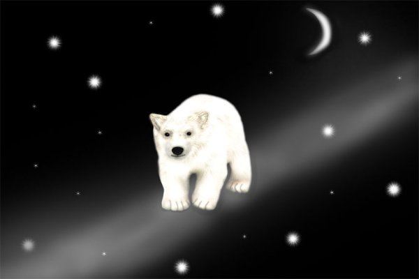 Созвездие большой медведицы и малой медведицы