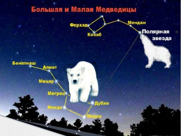 Созвездие большая Медведица и малая Медведица для детей