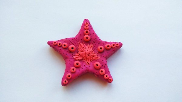 Морская звезда