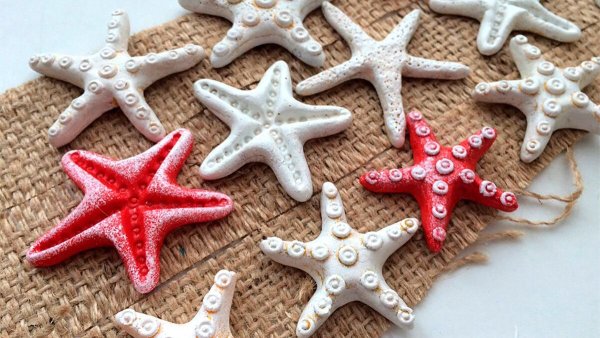 Лепка морская звезда