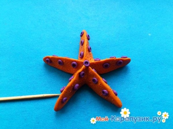 Лепка морская звезда