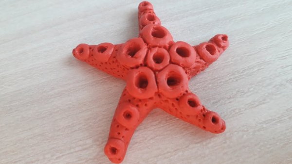 Лепка морские звезды и кораллы