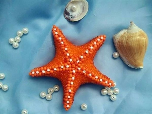 Морская звезда из полимерной глины