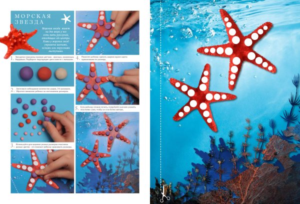 Морская звезда из пластилина