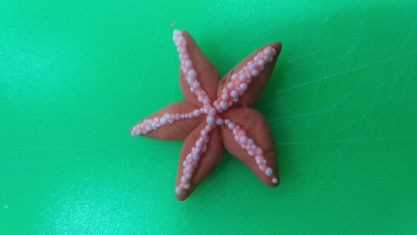 Набор натуральных морских звезд, 1,5 - 2,5 см, 20 шт, красные - белые 7402194