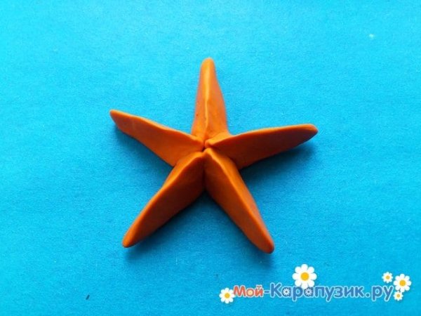 Лепка морские звезды и кораллы