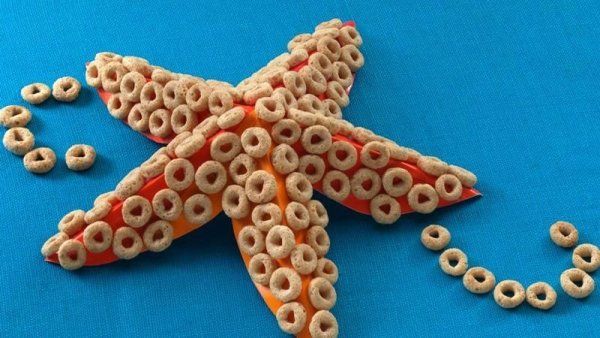 Морские обитатели из пластилина для детей