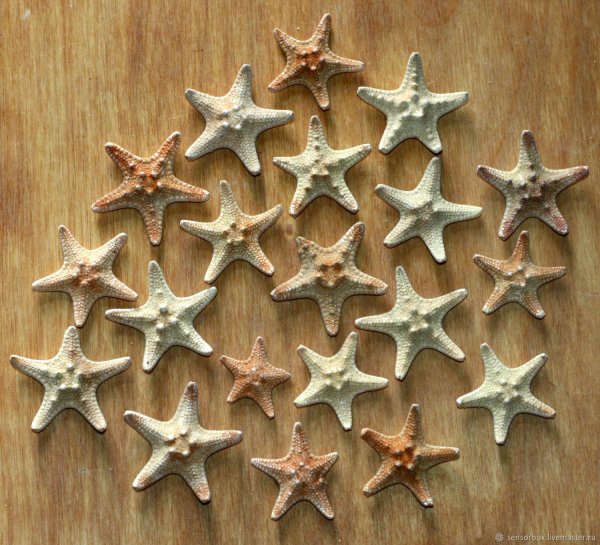 Морская звезда из фетра