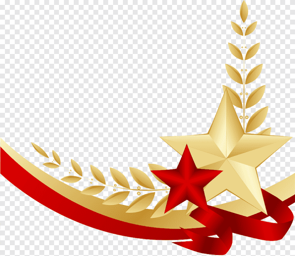 Объемная звезда на 23 февраля