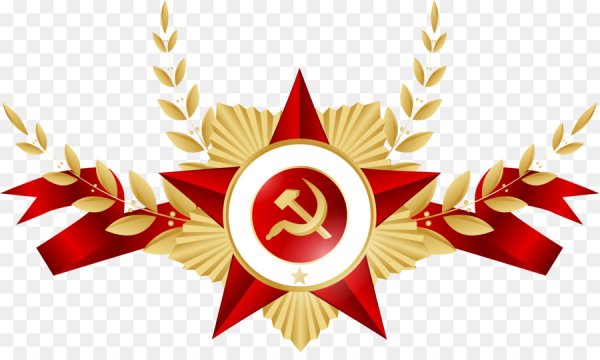 Раскраска 23 февраля для детей