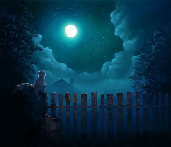 Лунная ночь в деревне