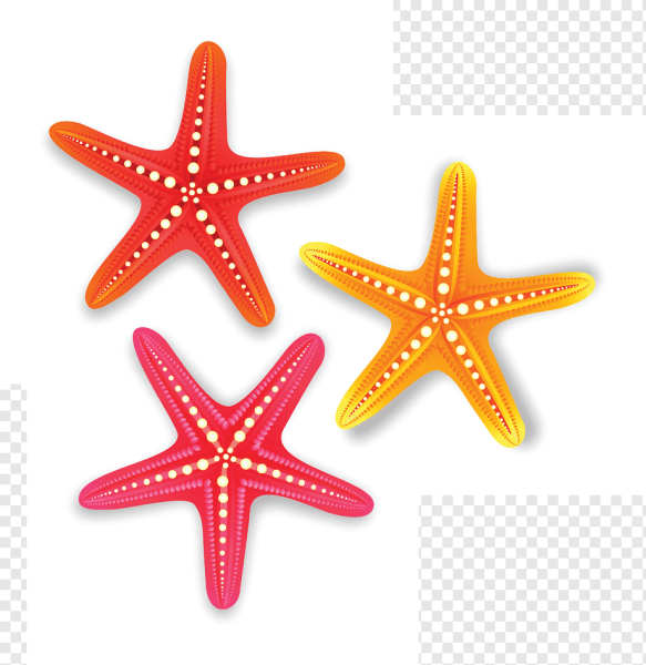 Морские обитатели для детей