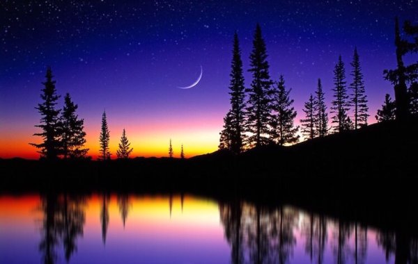 Окружающий мир ночью