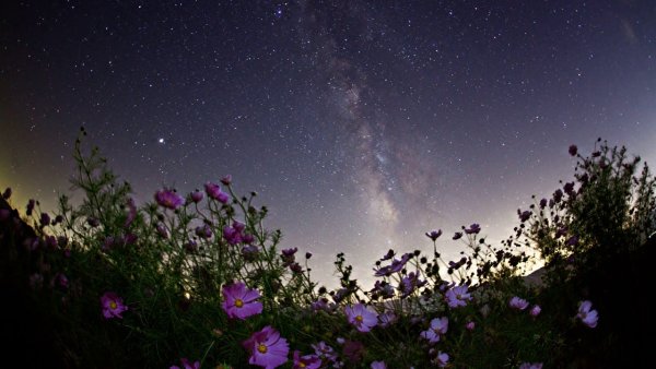 Летнее звездное небо