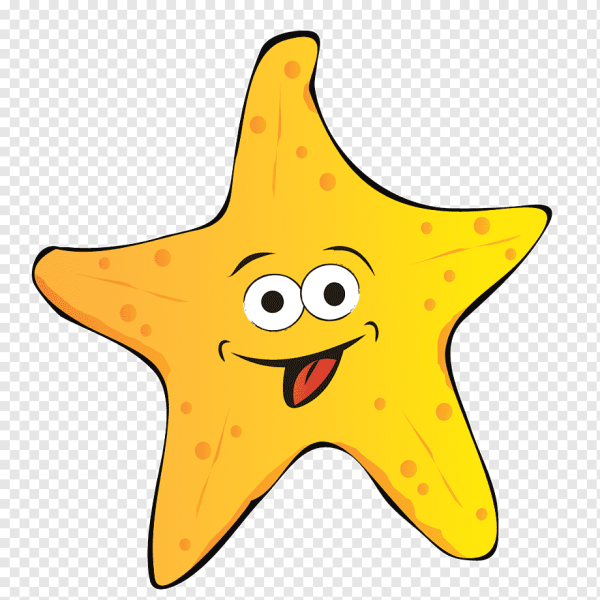 Морская Звездочка