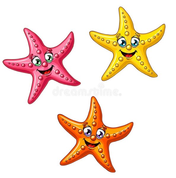 Морская звезда вектор