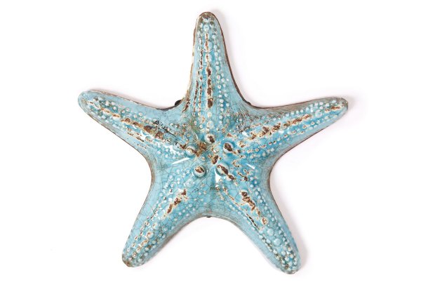 Морская звезда из мультика Ариель