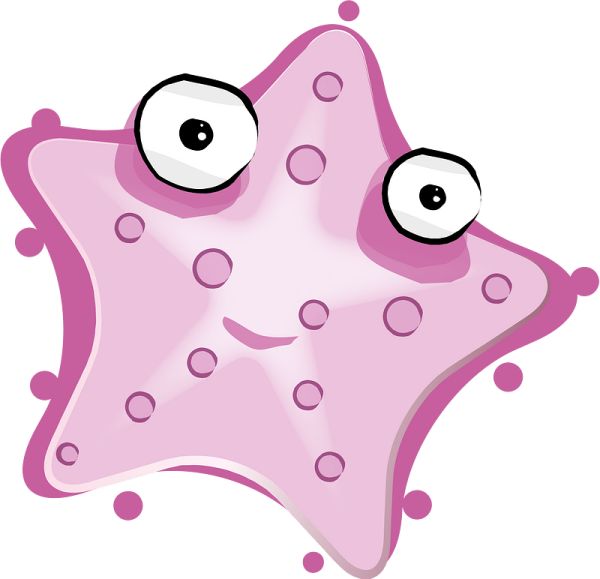 Морская звезда