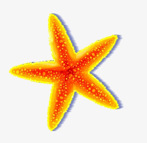 Ариэль морские звезды