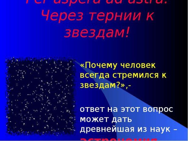 Через кусты к звездам