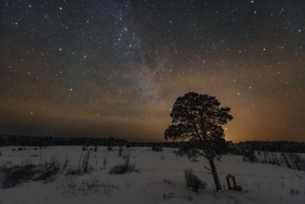 Ночное небо зимой