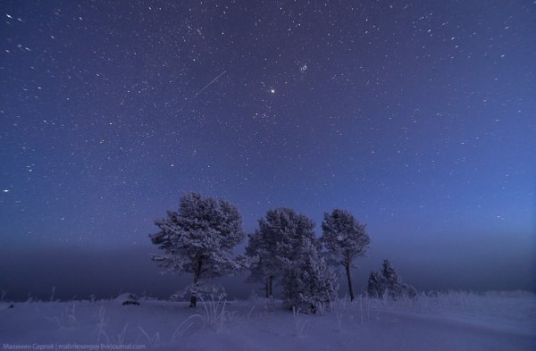 Звезды зимнего неба
