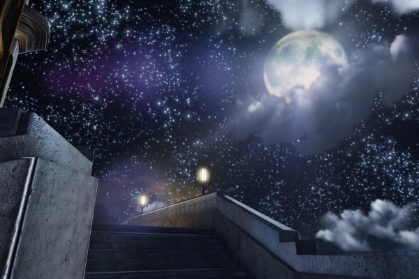 Звезды над городом