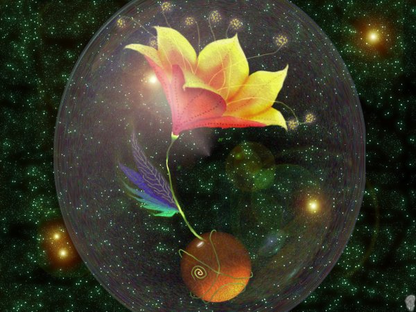 Космический Волшебный цветок