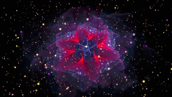 Цветок звезда