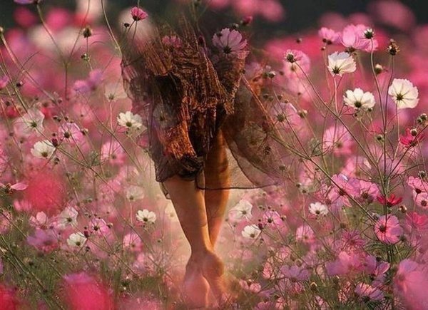 Девочка с полевыми цветами