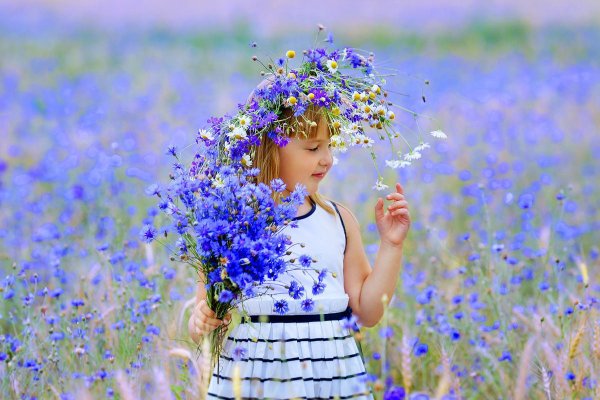 Приколы про цветы