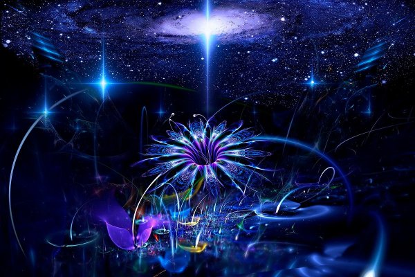 Такаши Мураками Радужный