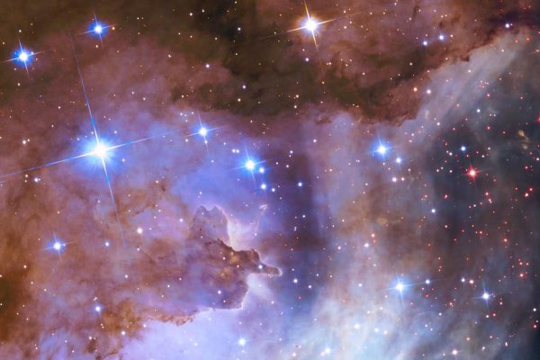 Westerlund 2