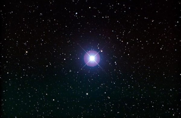 Канопус звезда в созвездии