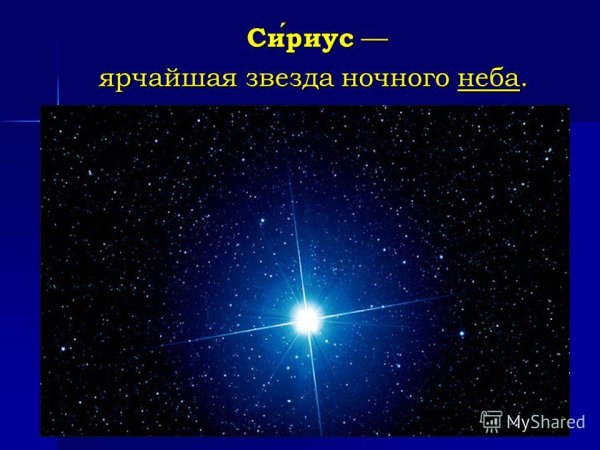 Сириус звезда на небе