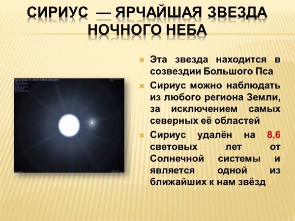 Процион звезда в созвездии