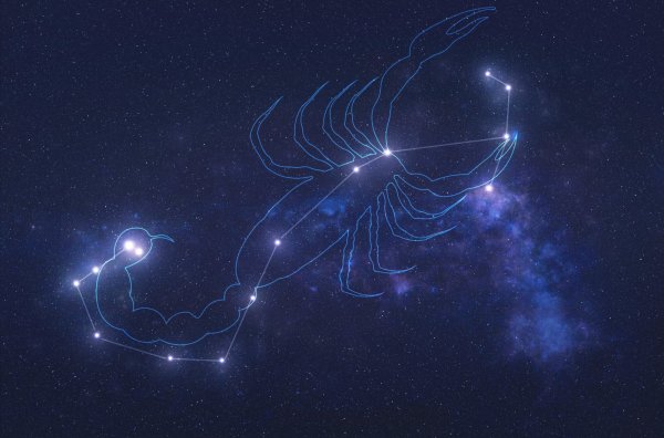 Scorpio Constellation