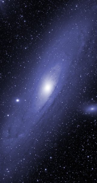 Живая звезда