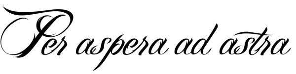 Через тернии к звездам цитата