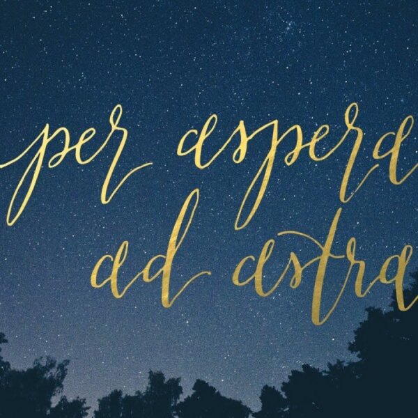 Через тернии к звездам выражение