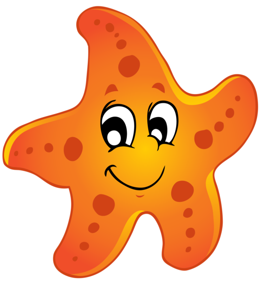 Морская звезда для детей