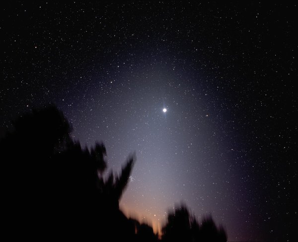 Звезда Венеры