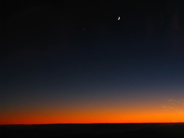 Утренняя звезда фото