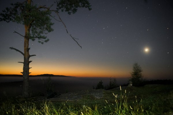 Утренняя звезда