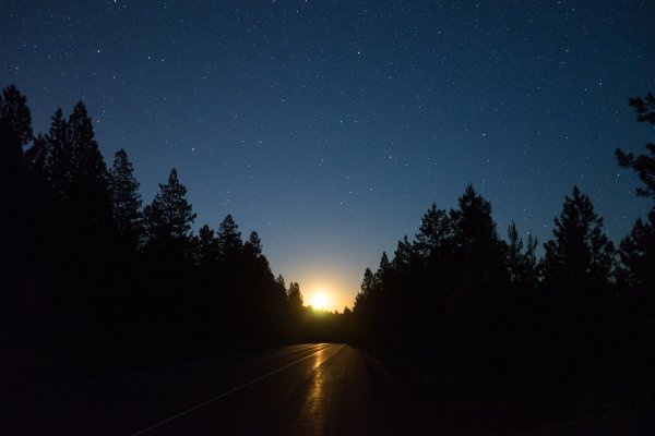 Ранняя ночь