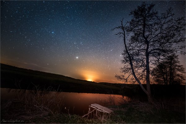 Летняя ночь