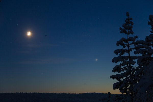 Утренняя звезда