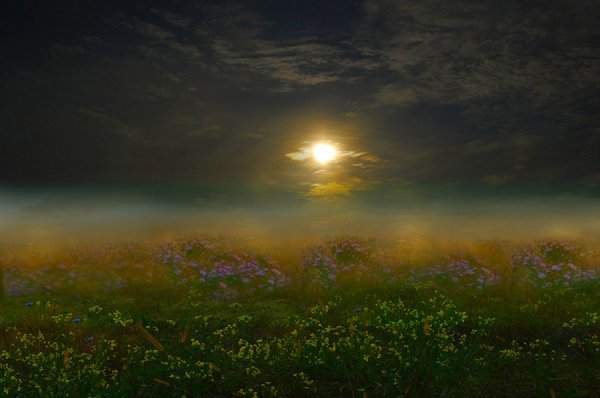 Звезды летом